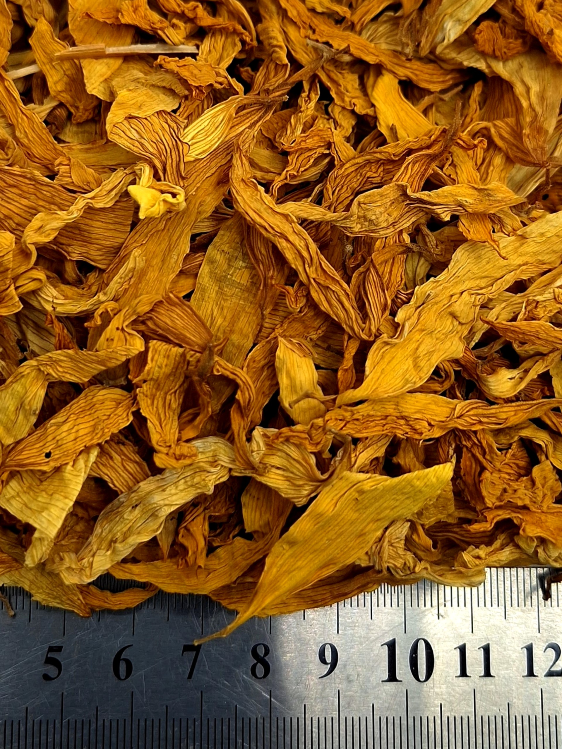 Päevalille kollased keelõied 75 grammi – Päevalill – Helianthus annuus flos.